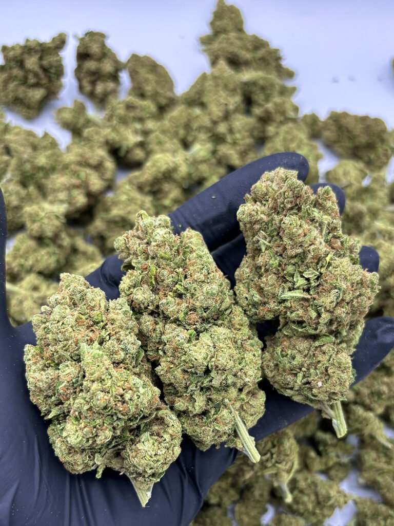 amnesia-haze-cbd-yummyweed-2
