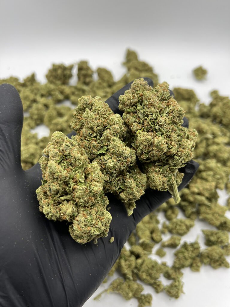 amnesia-haze-cbd-yummyweed-3