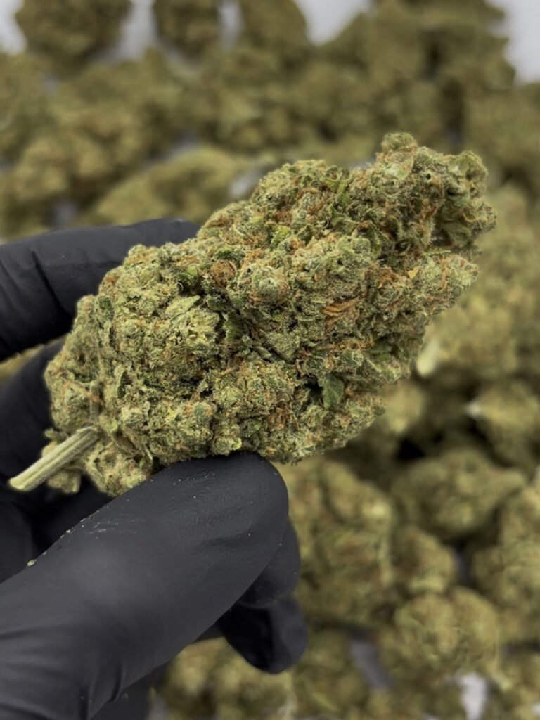 amnesia-haze-cbd-yummyweed-6